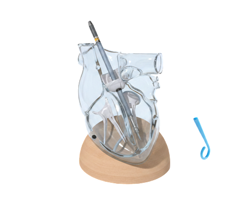 Alternative Heart Model