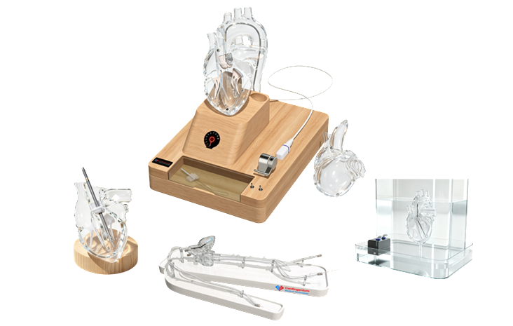 pLVAD Training System